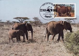 3112 - carte maxima Uganda 1988