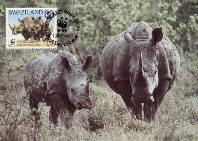 3080 - carte maxima Swaziland 1987 foto