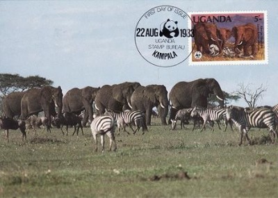 3115 - carte maxima Uganda 1988 foto