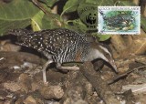 2873 - carte maxima Cocos 1992