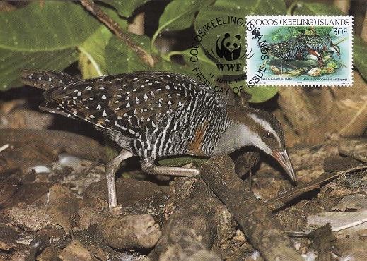 2873 - carte maxima Cocos 1992