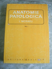 ANATOMIE PATOLOGICA VOL 1 - MORARU . foto