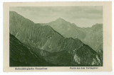 2965 - SIBIU, Fagaras Mountain, Varful Tarita - old postcard - unused - 1917, Necirculata, Printata