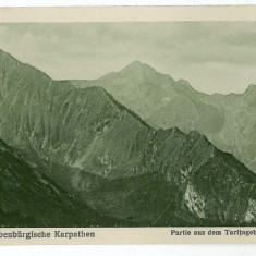 2965 - SIBIU, Fagaras Mountain, Varful Tarita - old postcard - unused - 1917