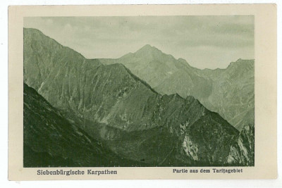 2965 - SIBIU, Fagaras Mountain, Varful Tarita - old postcard - unused - 1917 foto