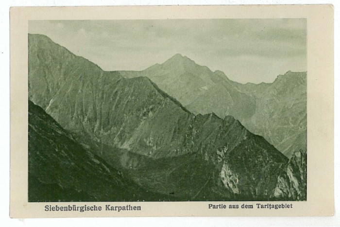 2965 - SIBIU, Fagaras Mountain, Varful Tarita - old postcard - unused - 1917