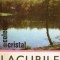 Petre Gastescu - Lacurile Terrei
