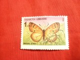 Timbru -serie -1R.Uzbekistan 1992 - Fluture