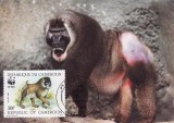 3160 - carte maxima Camerun 1988