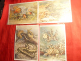 Set 7 Ilustrate- Fauna Marina -Acvariul din Berlin - Piese de autor C.Newmann