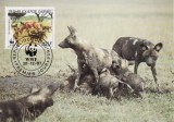 3142 - carte maxima Guineea 1987