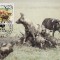 3142 - carte maxima Guineea 1987