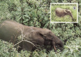 3174 - carte maxima Gabon 1988