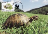 3119 - carte maxima Monaco 1991