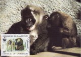 3159 - carte maxima Camerun 1988