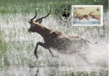 C810 - carte maxima Zambia 1987