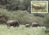3176 - carte maxima Gabon 1988