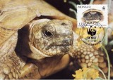 3117 - carte maxima Monaco 1991
