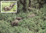 3175 - carte maxima Gabon 1988