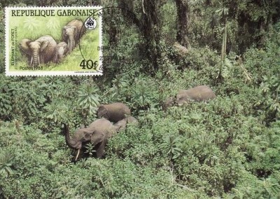 3175 - carte maxima Gabon 1988 foto
