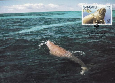 3167 - carte maxima Vanuatu 1988 foto