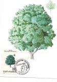 # ilustrata maxima-LUNA PADURII 1995-Paltin-prima zi, Romania de la 1950, Natura