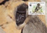 3158 - carte maxima Camerun 1988