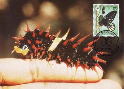 3127 - carte maxima Papua Noua Guinee 1988 foto
