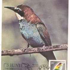 No(2)ilustrata maxima-PRIGORIE-Ziua internationala a mediului 1990