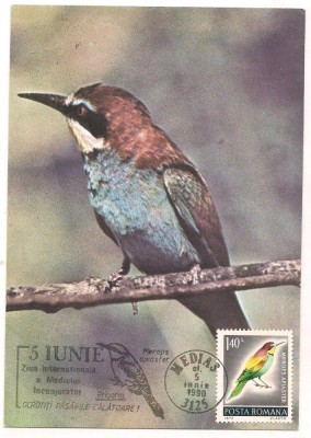 No(2)ilustrata maxima-PRIGORIE-Ziua internationala a mediului 1990 foto