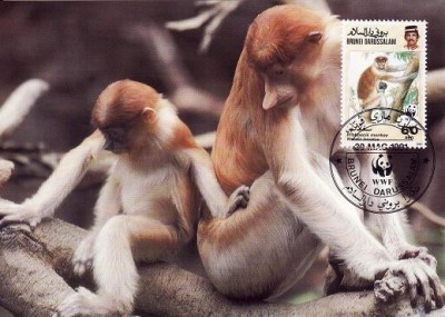 3197 - carte maxima Brunei 1991 foto