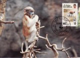 3200 - carte maxima Brunei 1991
