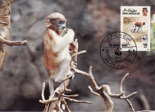 3200 - carte maxima Brunei 1991