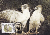 3203 - carte maxima Filipine 1991