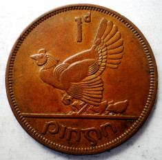 1.501 IRLANDA 1 PENNY 1966 foto