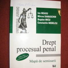 Drept procesual penal. Mapa de seminarii - Ion Neagu, Mircea Damaschin -editia 2