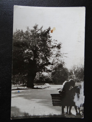 aug15 - Vedere/ Carte postala - Iasi - Teiul lui Eminescu foto