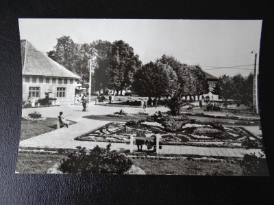 aug15 - Vedere/ Carte postala - Oradea - Felix foto