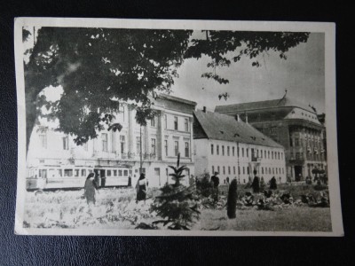 aug15 - Vedere/ Carte postala - Timisoara foto