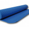 AXER Saltea fitness 173 x 61 x 0.4 cm, albastra