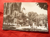 Ilustrata Radauti - Vedere din Parc ,circulat 1963, Circulata, Fotografie