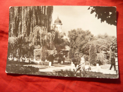 Ilustrata Radauti - Vedere din Parc ,circulat 1963 foto