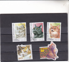 timbre st din diferite tari PISICI foto