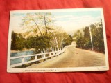 Ilustrata Marlboro N.Y.- Greetings , circulata 1929
