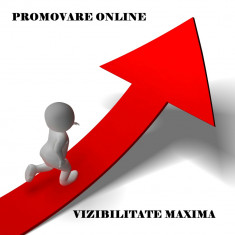 Publicitate si promovare online foto