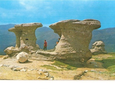 CPI (B5864) MUNTII BUCEGI. BABELE foto