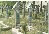 CPI (B5843) SAPANTA. JUDETUL MARAMURES - CIMITIRUL VESEL