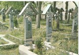 CPI (B5843) SAPANTA. JUDETUL MARAMURES - CIMITIRUL VESEL, Necirculata, Printata