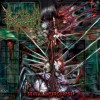GORATORY (US) &lrm;&ndash;Sexual Intercorpse (Brutal Death Metal) CD 2013, Rock