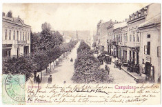 Campulung,Bulevardul,animata,clasica,circulata,francata,1902 foto